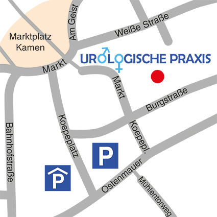 59174_Haase_Ulrichs_transparent_LP